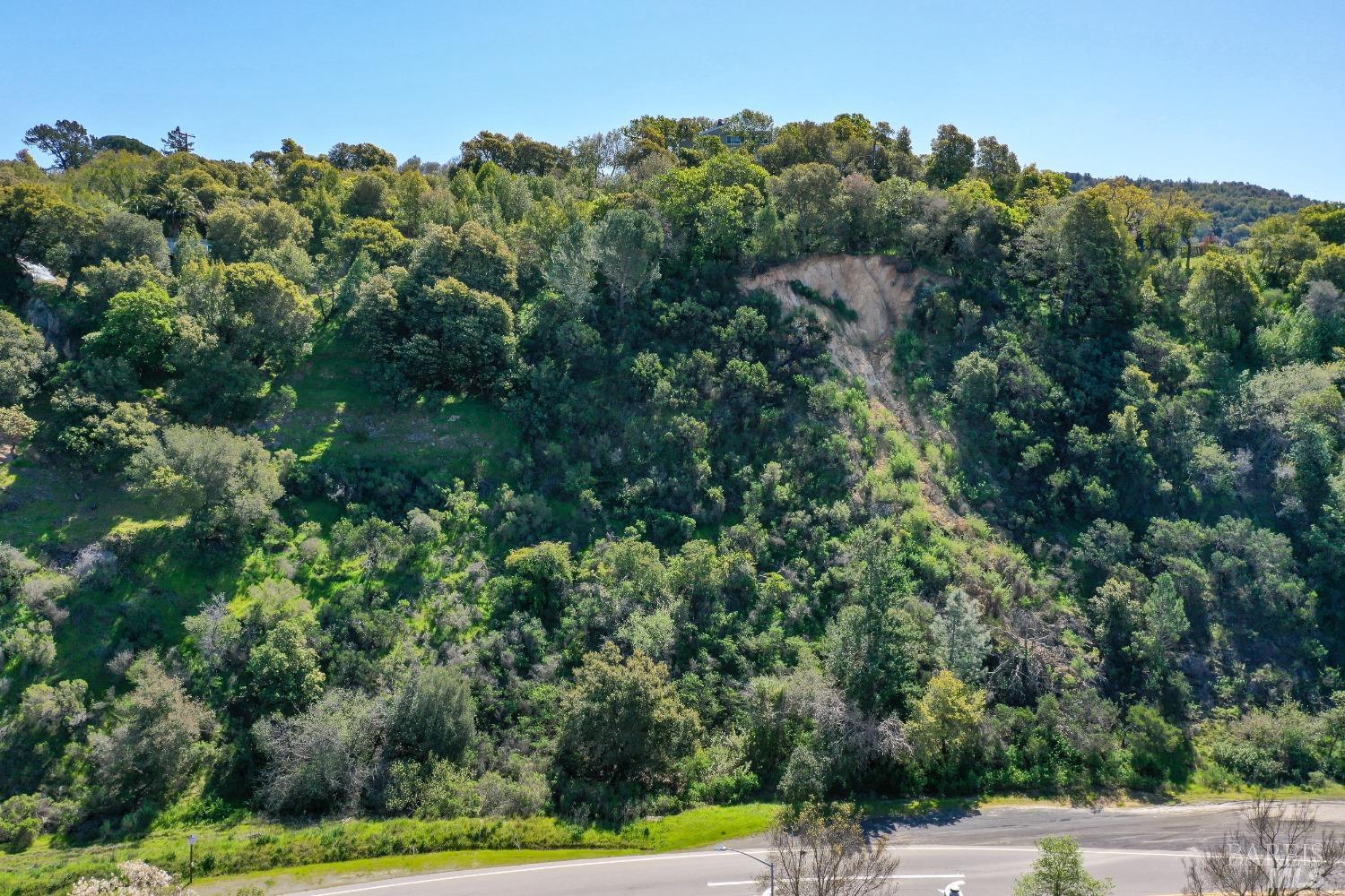 110 Sunny Oaks Drive San Rafael CA 94903