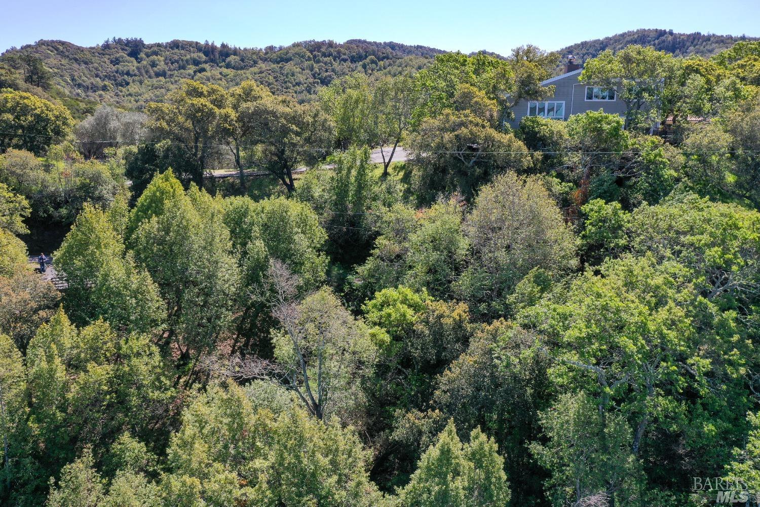 110 Sunny Oaks Drive San Rafael CA 94903