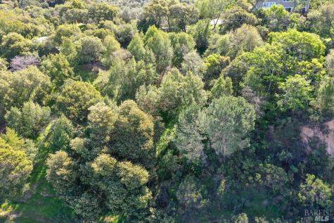 110 Sunny Oaks Drive San Rafael CA 94903