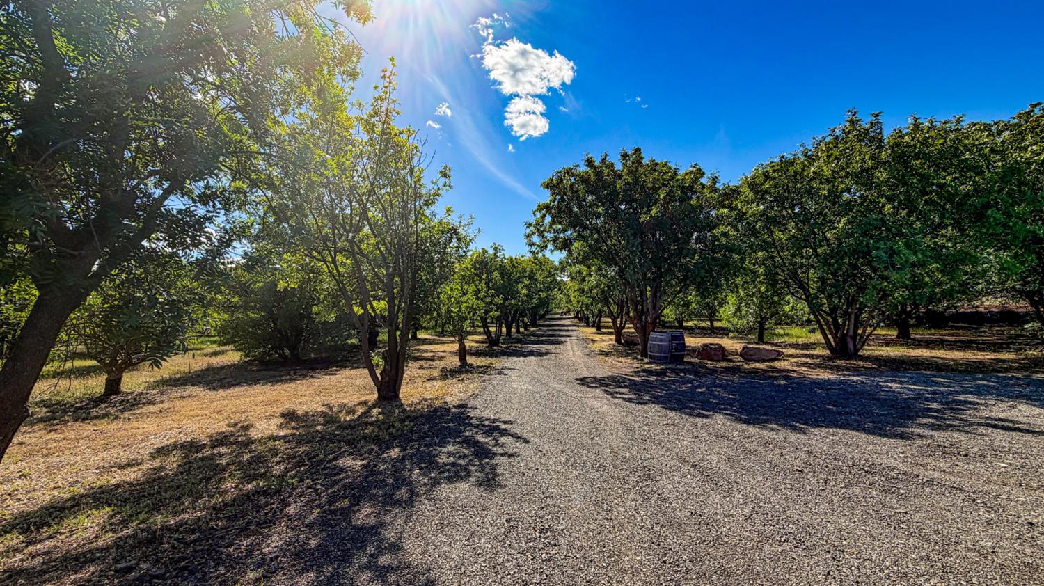 27550 County Road 88 Winters CA 95694