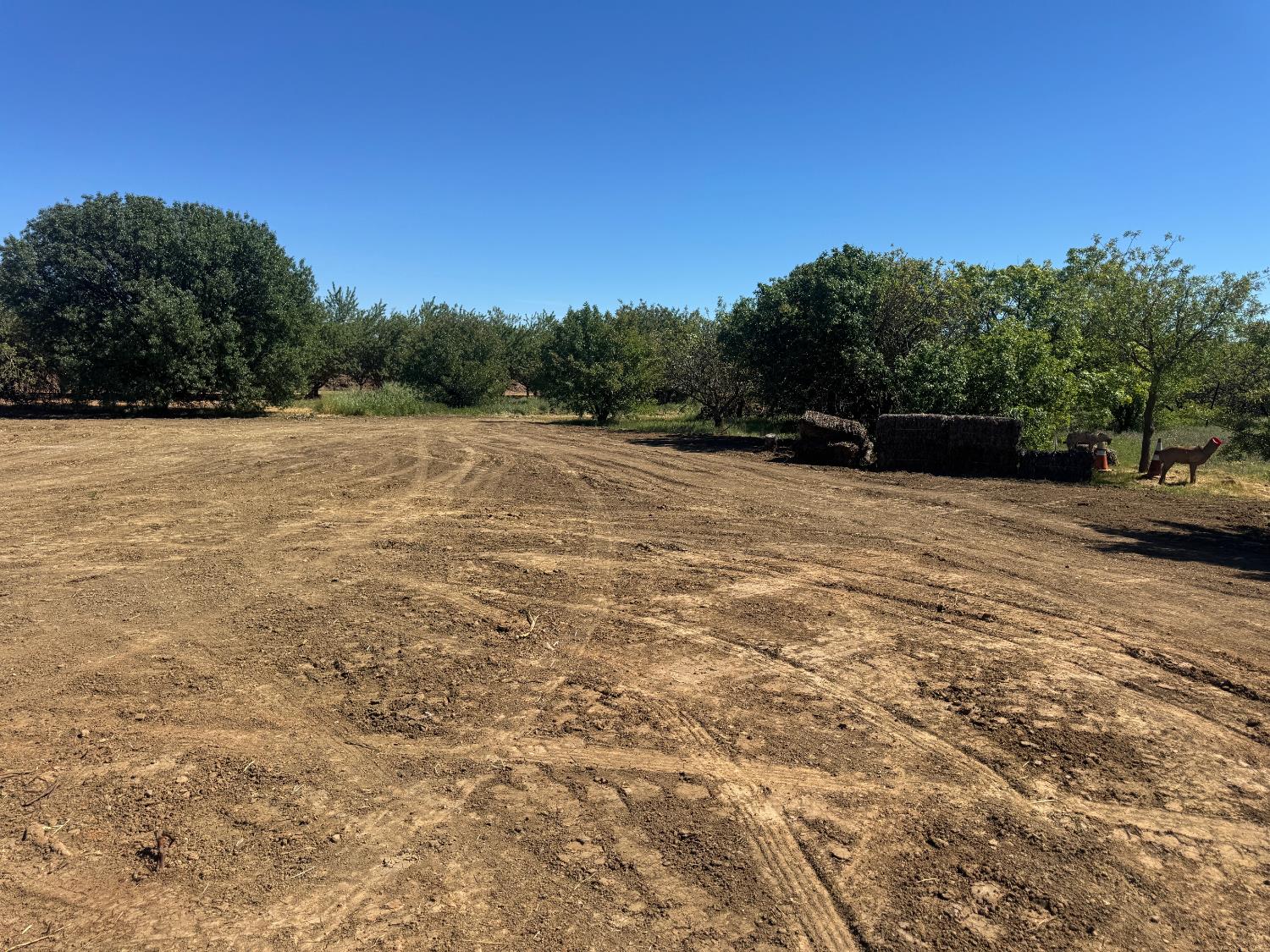 27550 County Road 88 Winters CA 95694