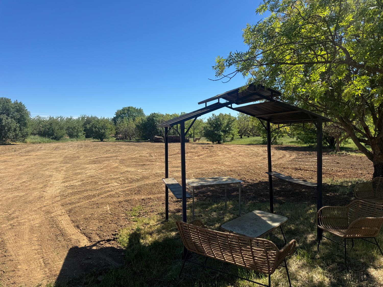 27550 County Road 88 Winters CA 95694