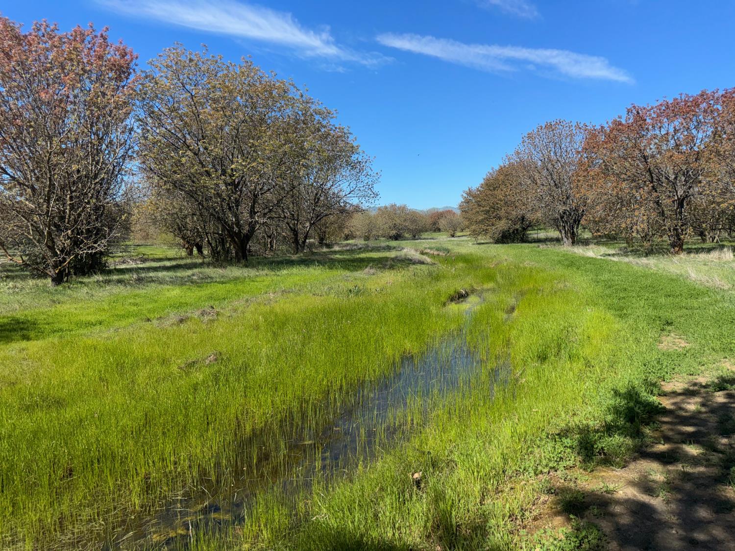 27550 County Road 88 Winters CA 95694