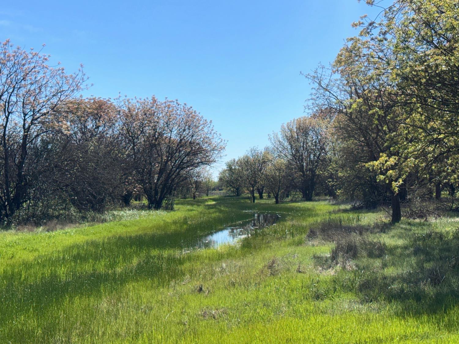 27550 County Road 88 Winters CA 95694