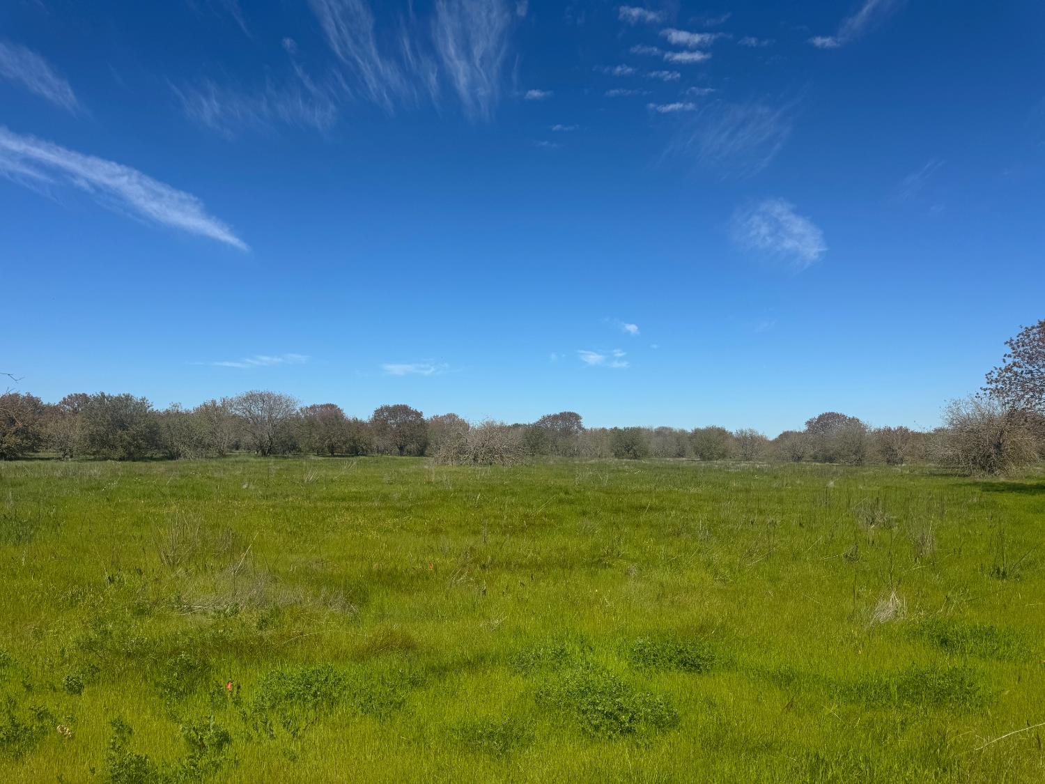 27550 County Road 88 Winters CA 95694