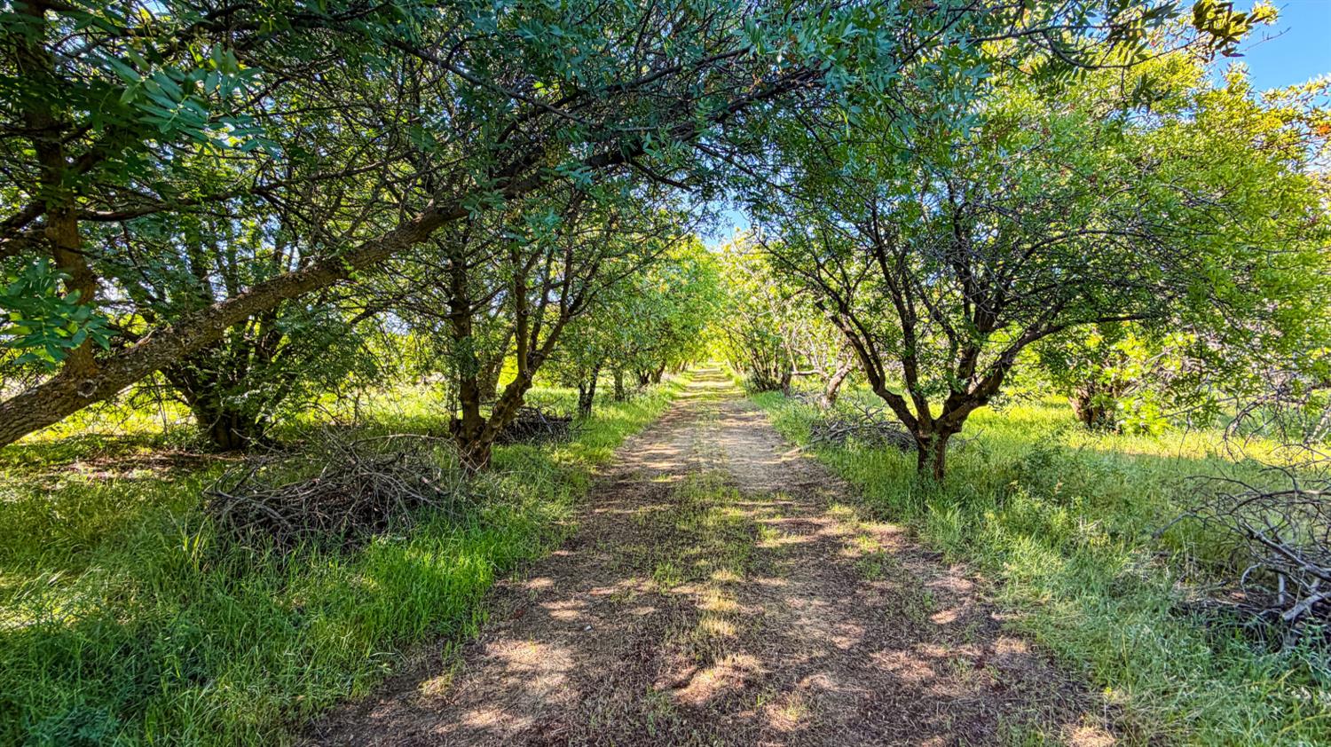 27550 County Road 88 Winters CA 95694