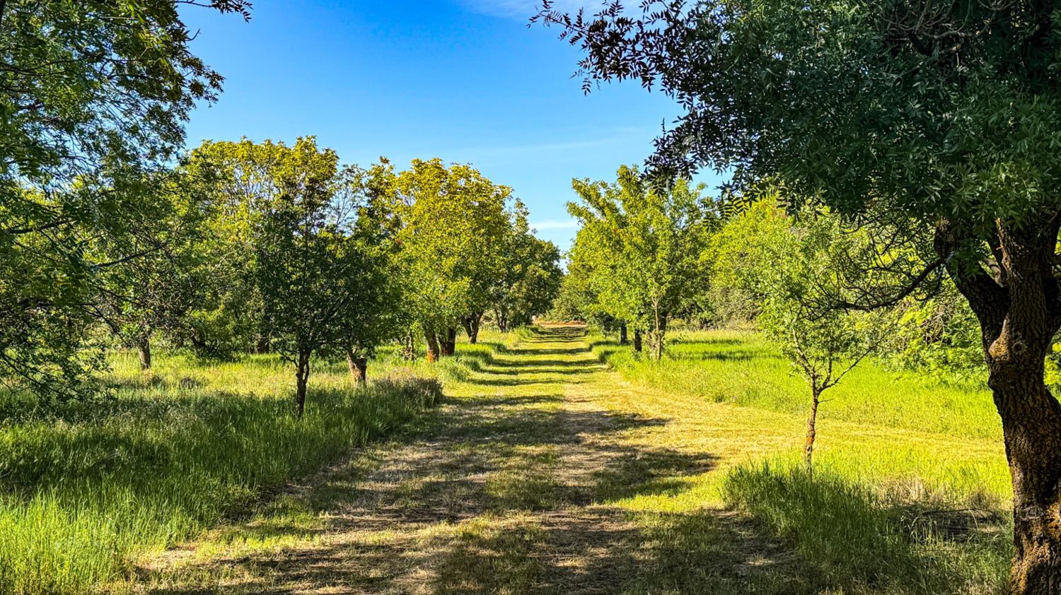 27550 County Road 88 Winters CA 95694