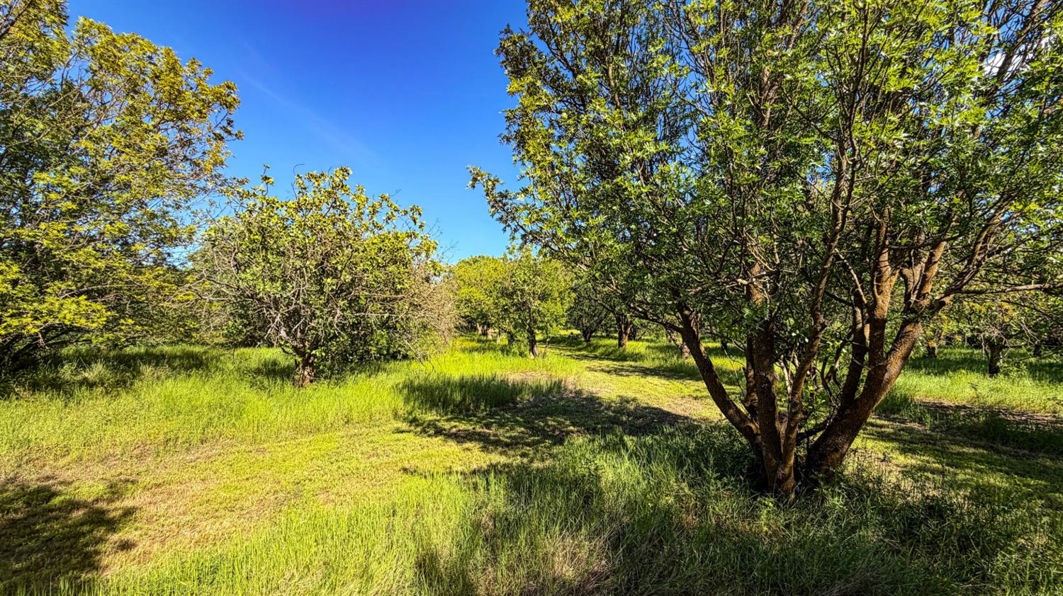27550 County Road 88 Winters CA 95694