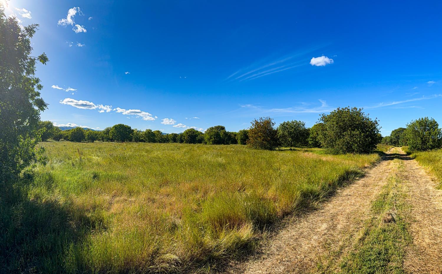 27550 County Road 88 Winters CA 95694