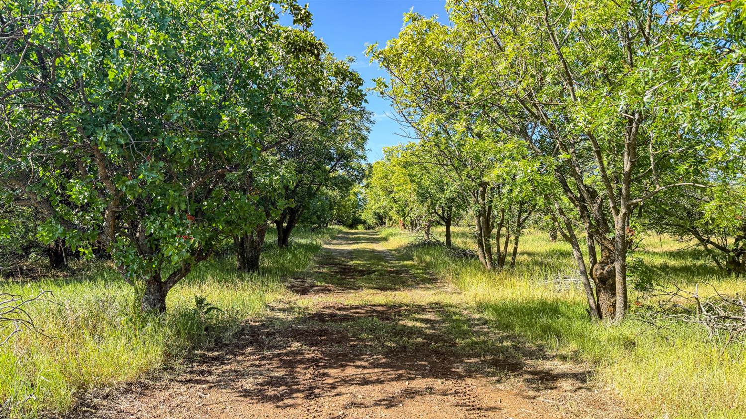 27550 County Road 88 Winters CA 95694