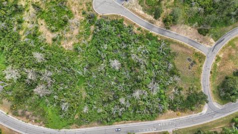 3959 Graystone Place Santa Rosa CA 95403