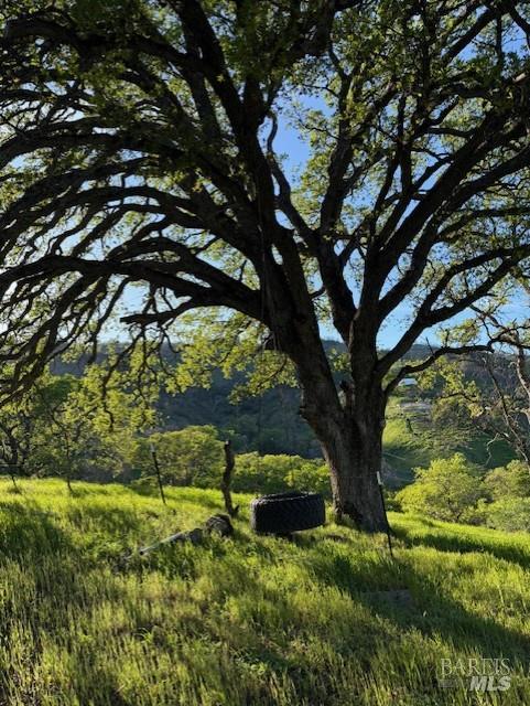 6958 Oak Tree Trail Vacaville CA 95688