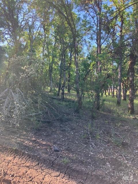 16053 13th Avenue Clearlake CA 95422