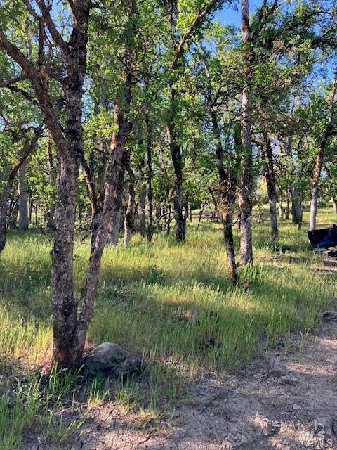16053 13th Avenue Clearlake CA 95422