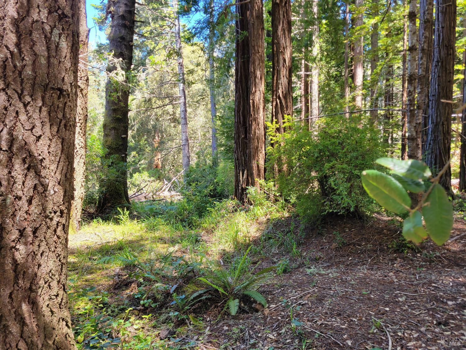 315 Chinquapin Lane The Sea Ranch CA 95497