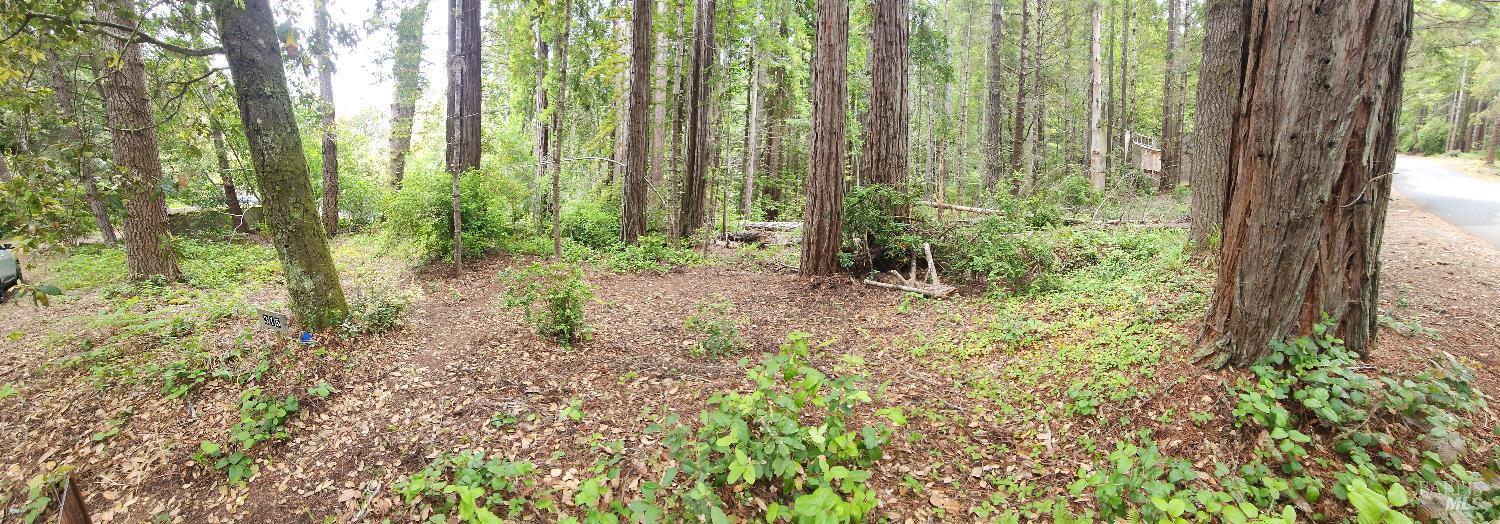 315 Chinquapin Lane The Sea Ranch CA 95497
