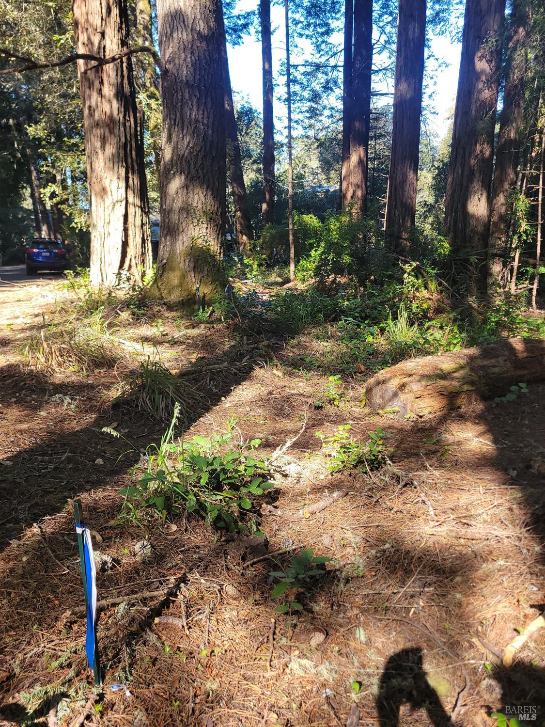 315 Chinquapin Lane The Sea Ranch CA 95497