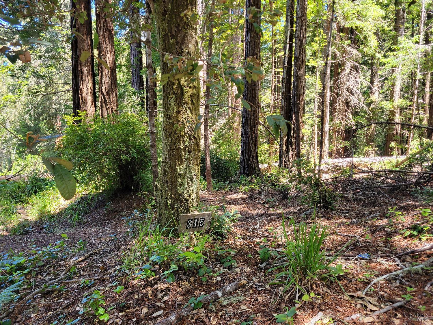 315 Chinquapin Lane The Sea Ranch CA 95497
