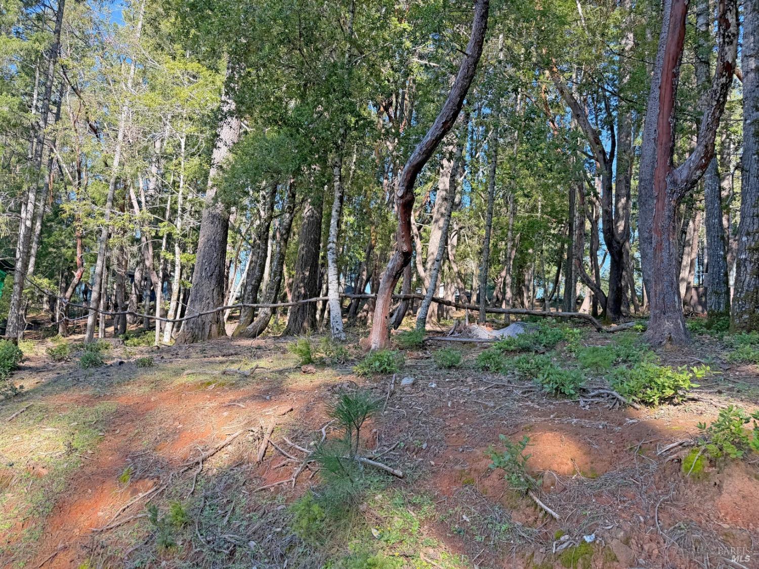 28140 Poppy Drive Willits CA 95490