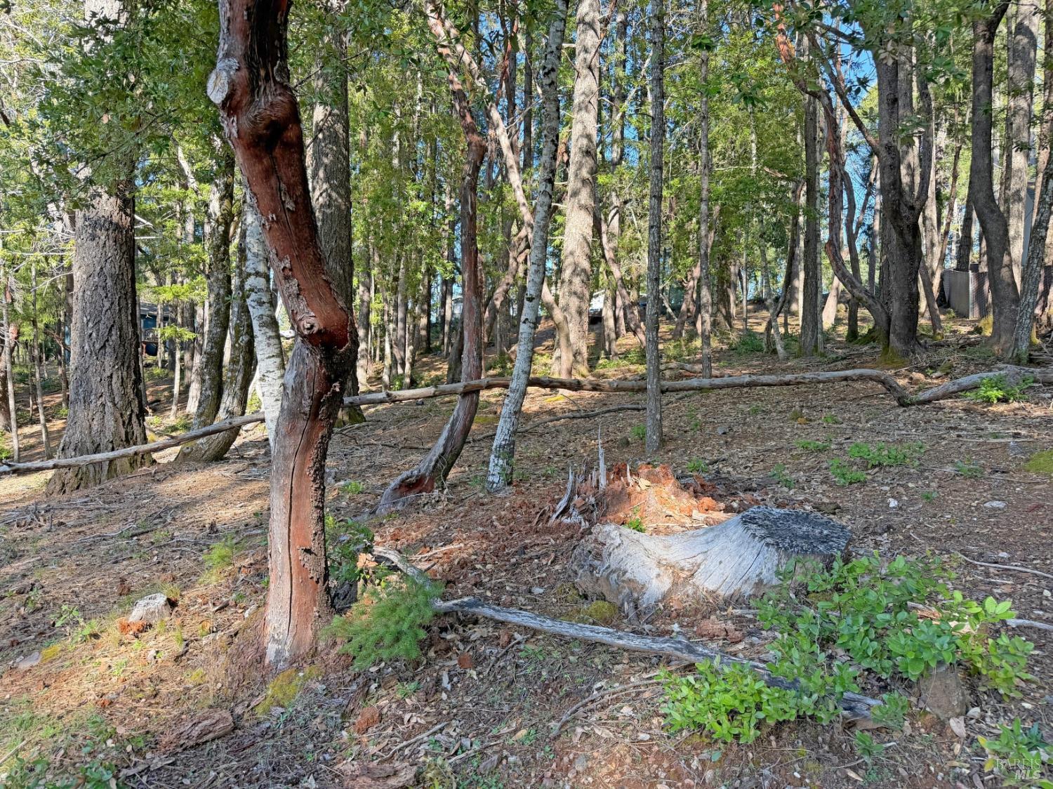 28140 Poppy Drive Willits CA 95490