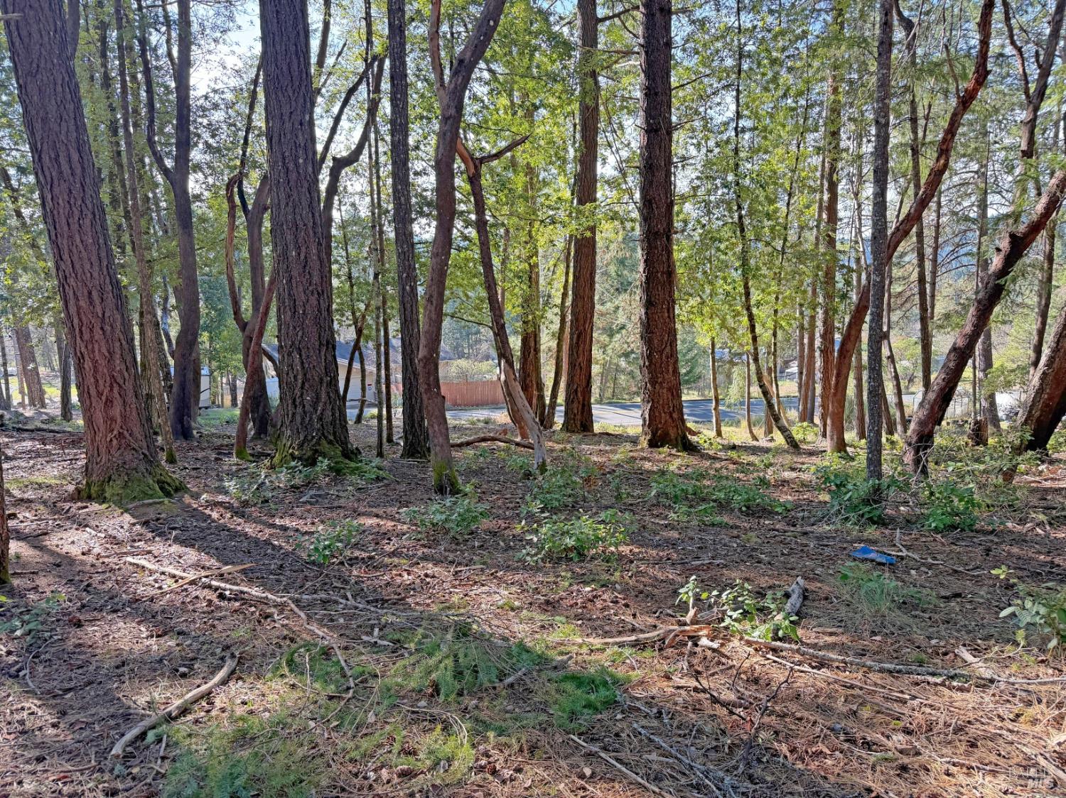 28140 Poppy Drive Willits CA 95490