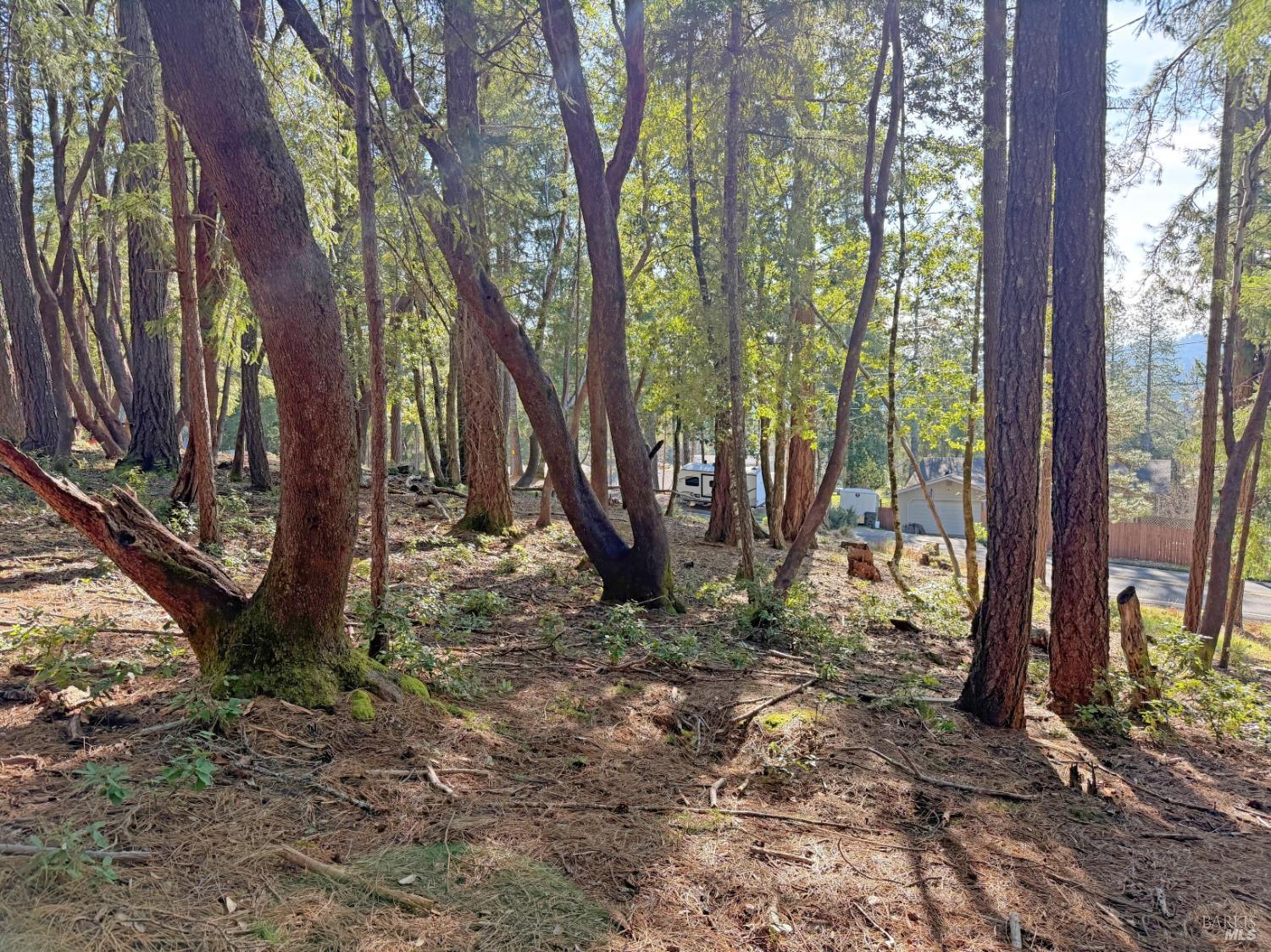 28140 Poppy Drive Willits CA 95490
