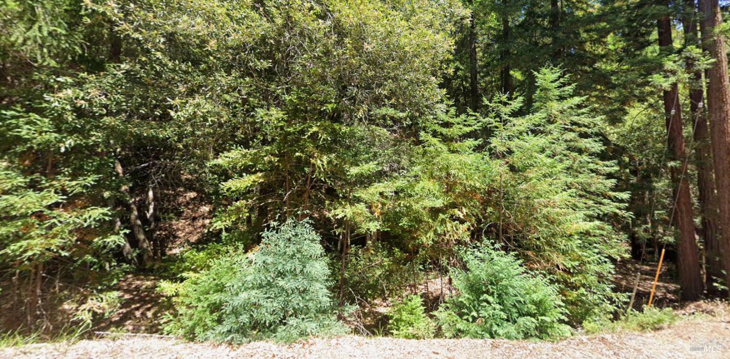 24425 Rose Terrace Willits CA 95490