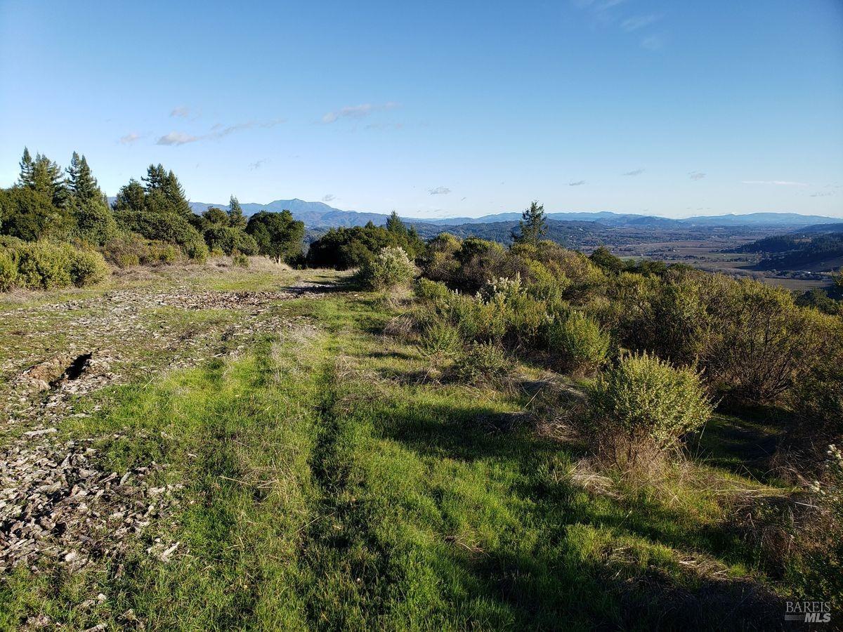 9695 Dry Creek Road Healdsburg CA 95448