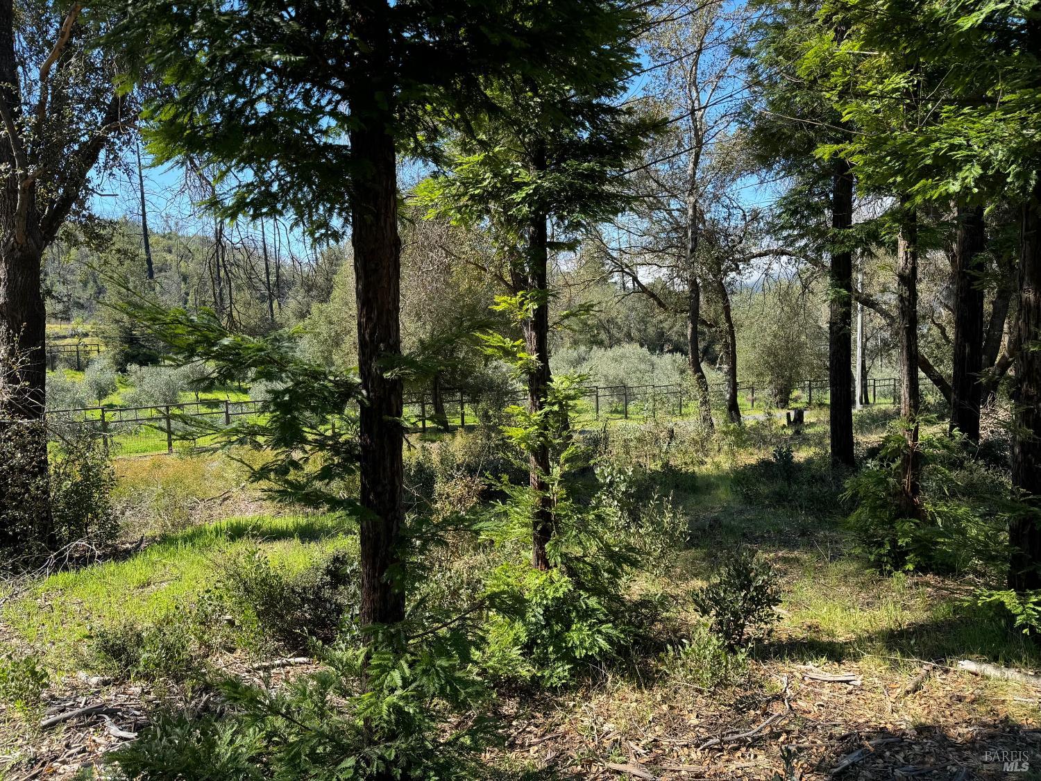 9201 Franz Valley School Road Calistoga CA 94515