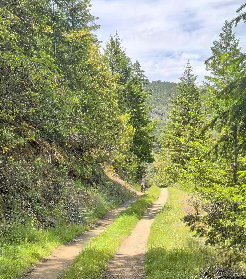 7020 Dos Rios Road Laytonville CA 95454