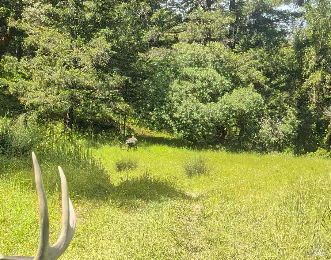 7020 Dos Rios Road Laytonville CA 95454