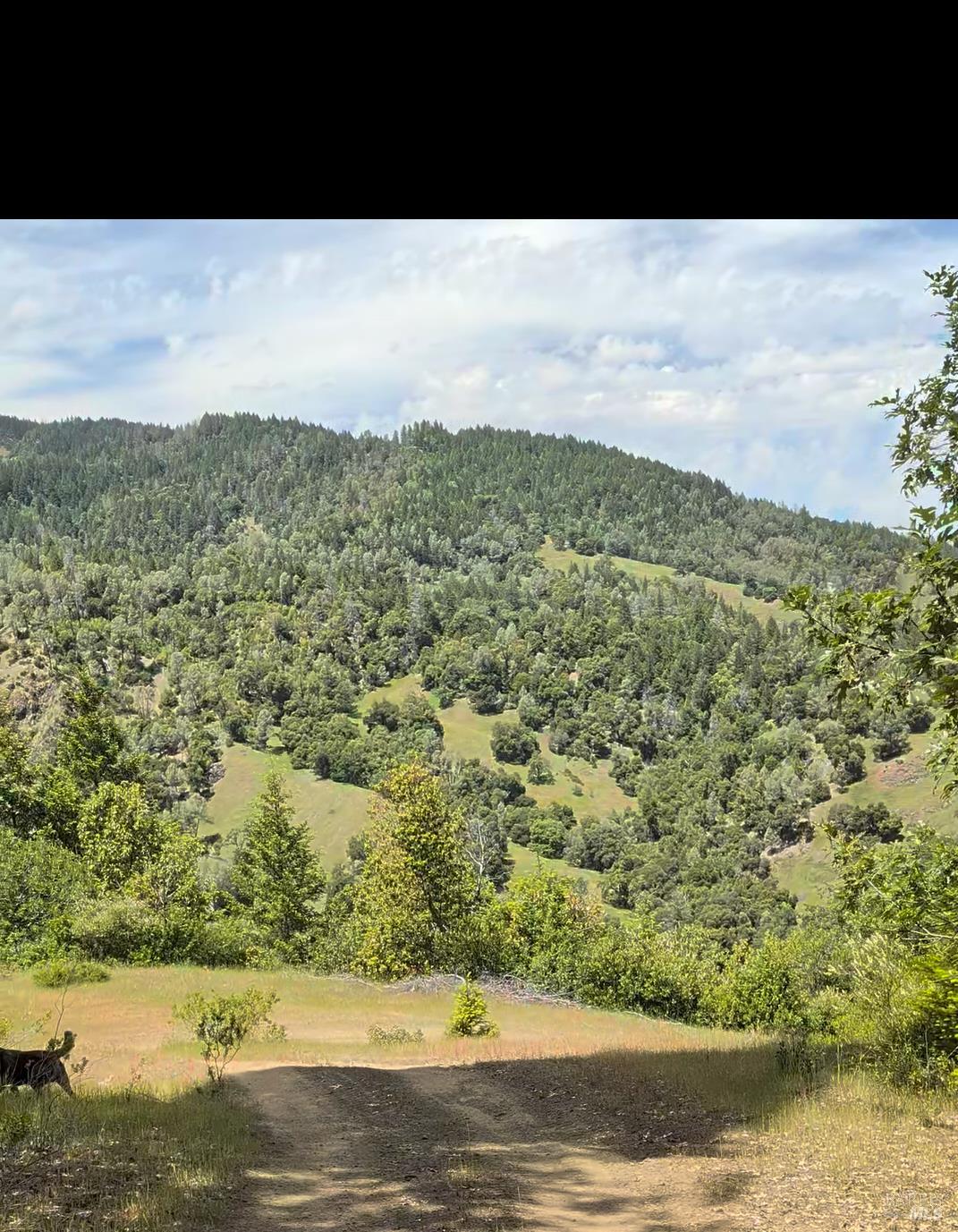 7020 Dos Rios Road Laytonville CA 95454