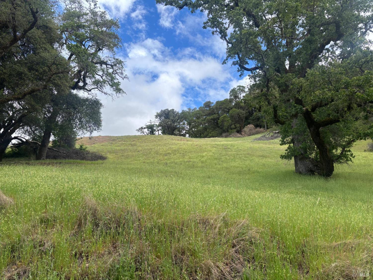 3701 Radical Ridge Road Redwood Valley CA 95470