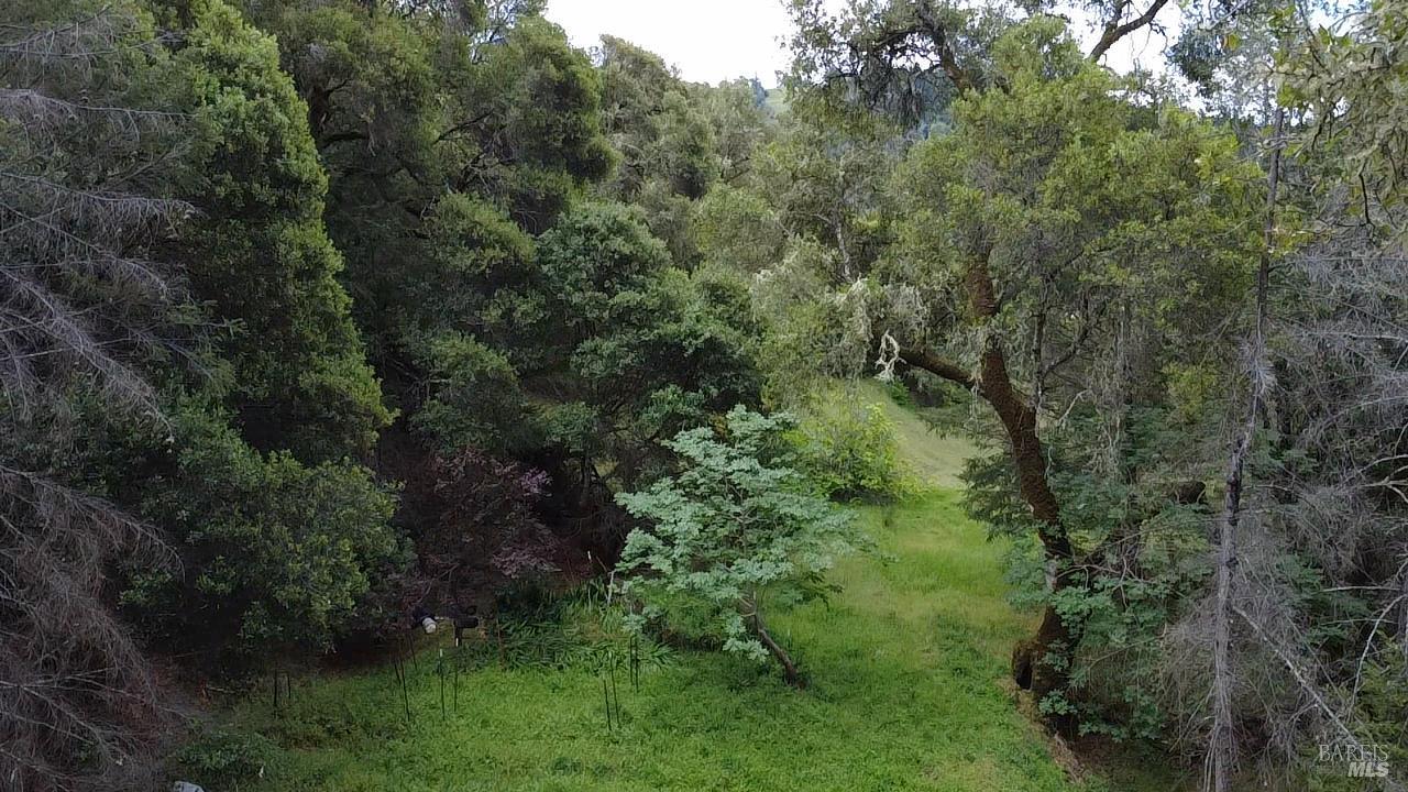 3701 Radical Ridge Road Redwood Valley CA 95470