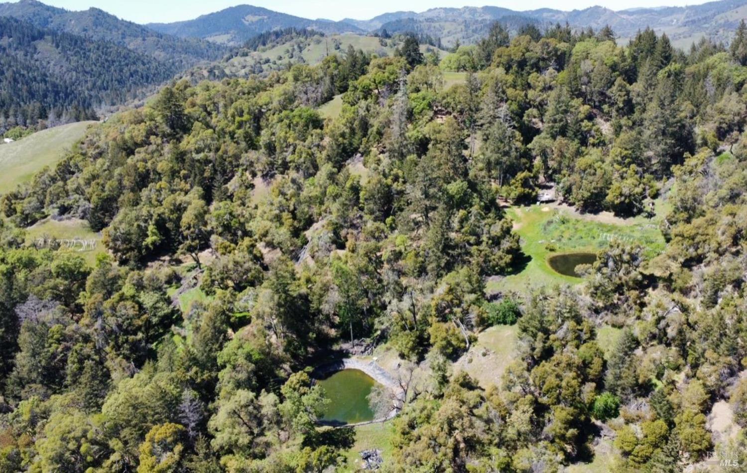 3701 Radical Ridge Road Redwood Valley CA 95470