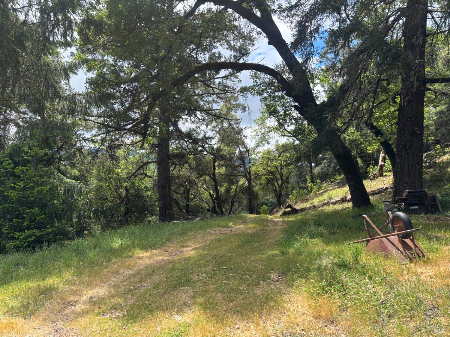 3701 Radical Ridge Road Redwood Valley CA 95470
