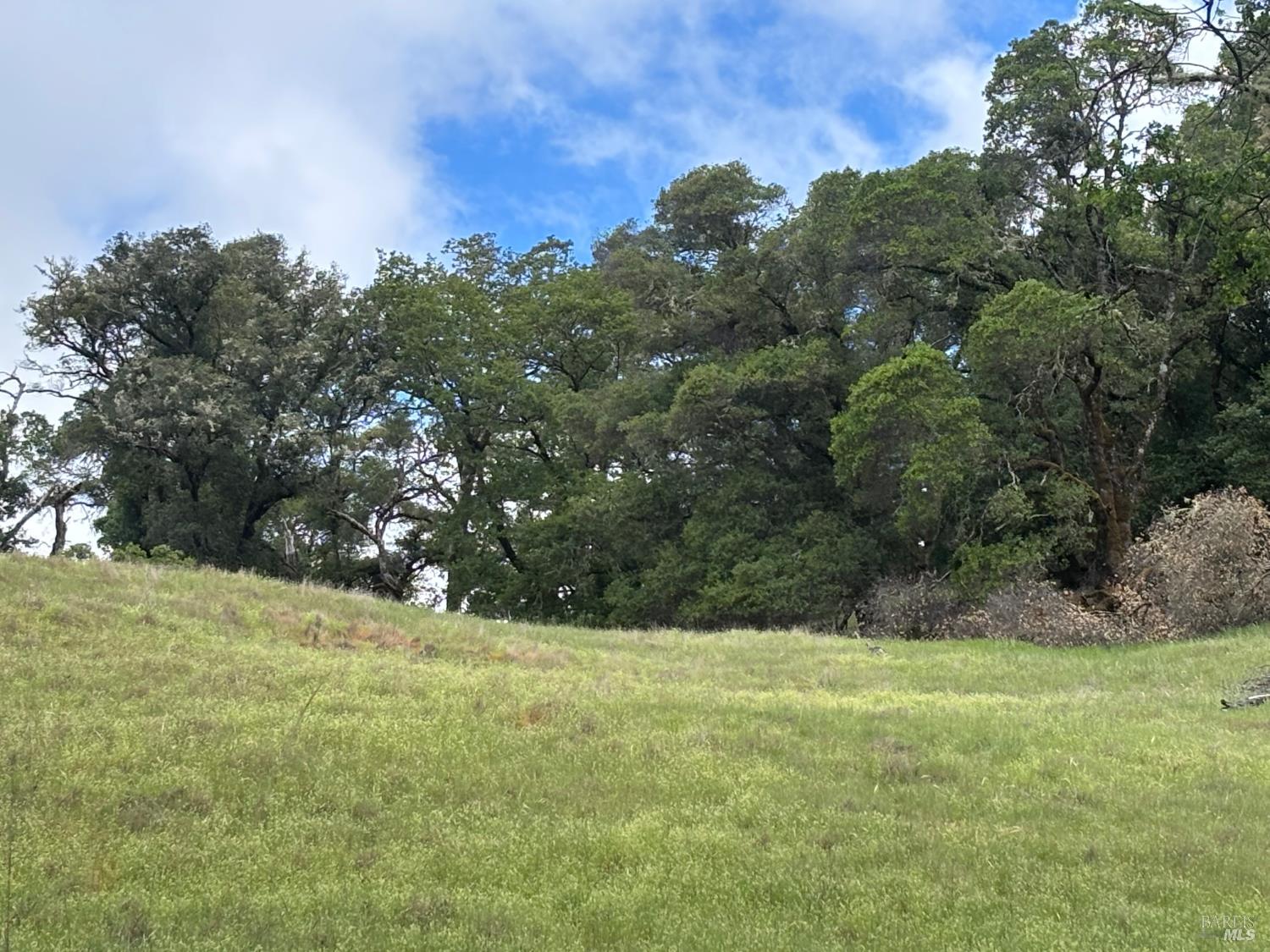 3701 Radical Ridge Road Redwood Valley CA 95470