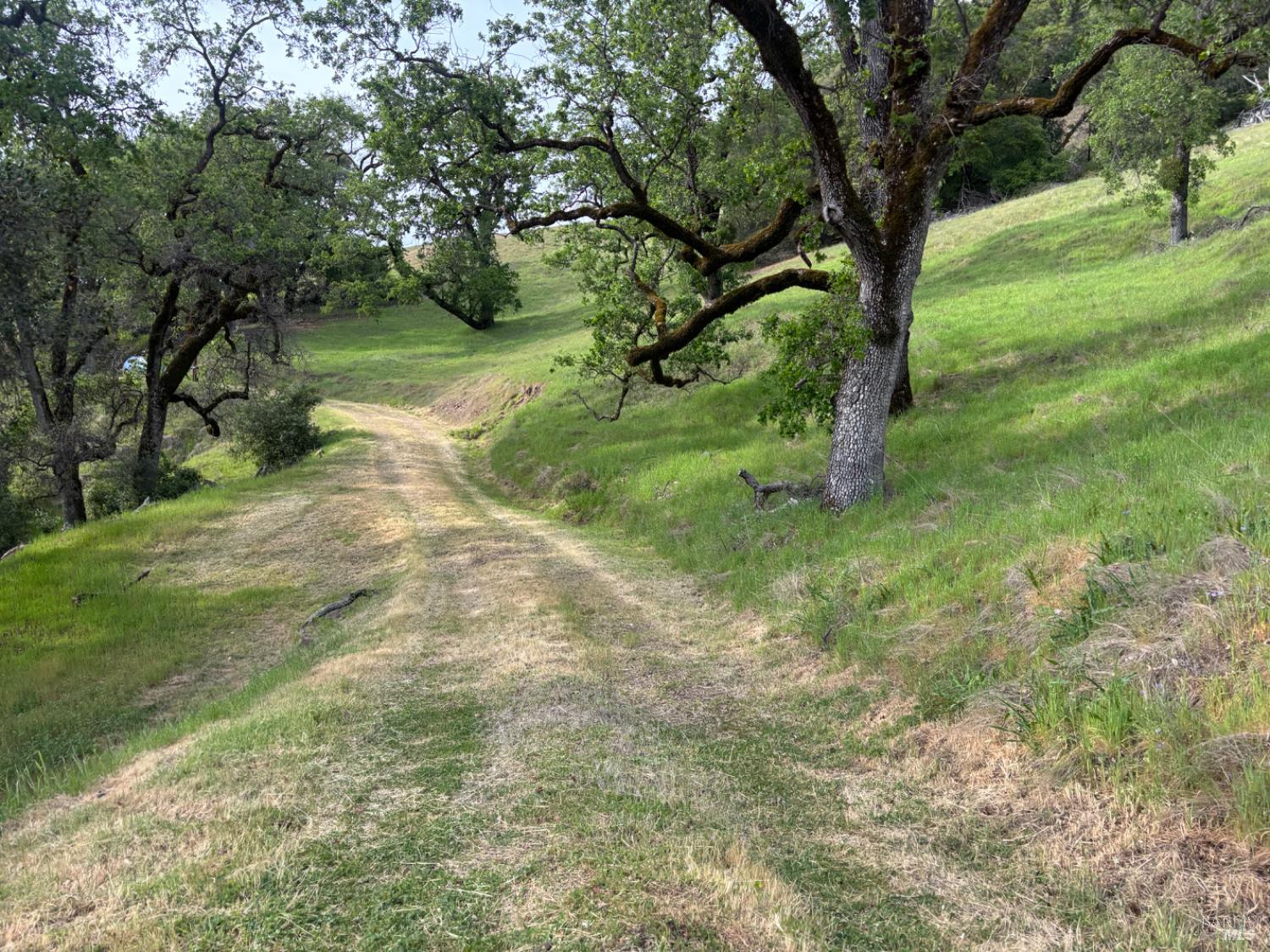3701 Radical Ridge Road Redwood Valley CA 95470