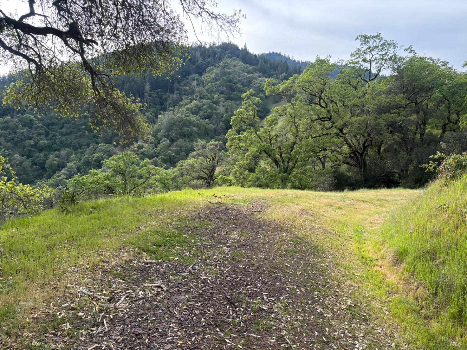 3701 Radical Ridge Road Redwood Valley CA 95470