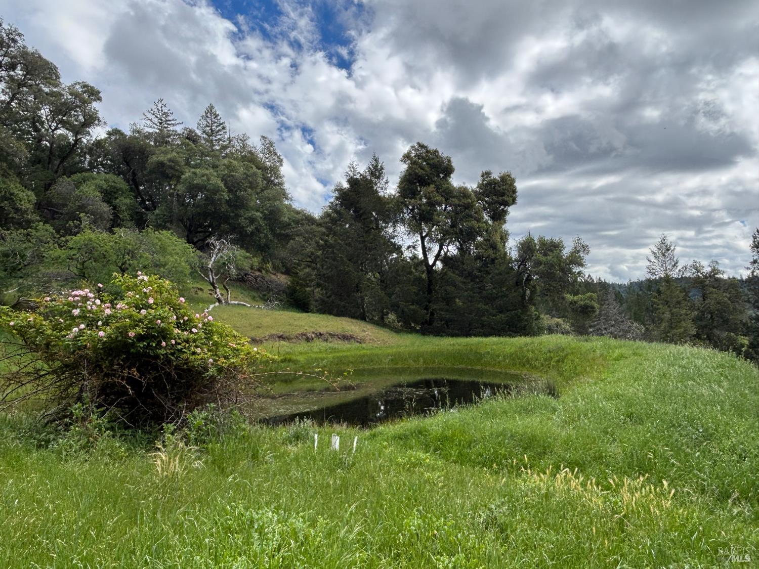 3701 Radical Ridge Road Redwood Valley CA 95470