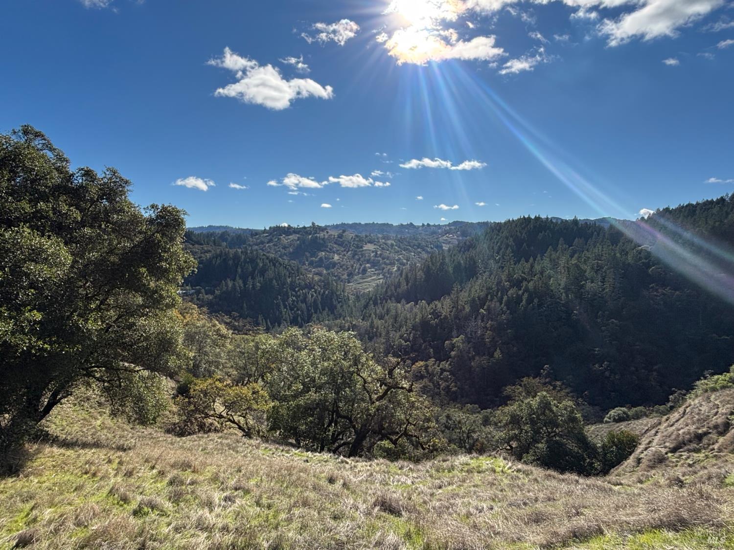 3701 Radical Ridge Road Redwood Valley CA 95470