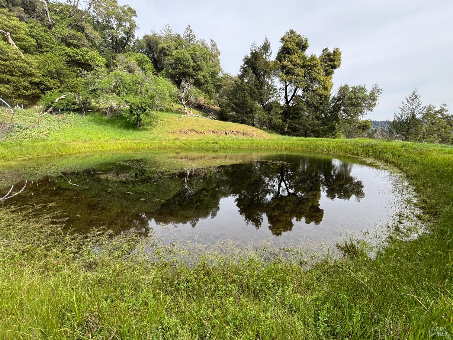 3701 Radical Ridge Road Redwood Valley CA 95470