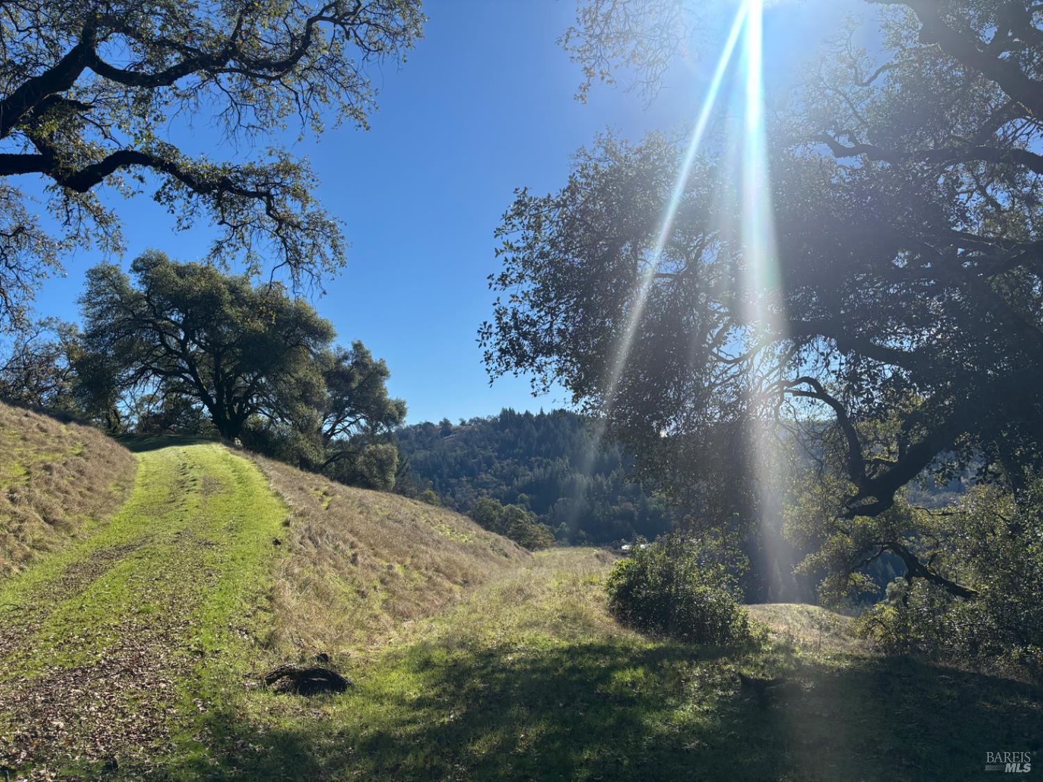 3701 Radical Ridge Road Redwood Valley CA 95470