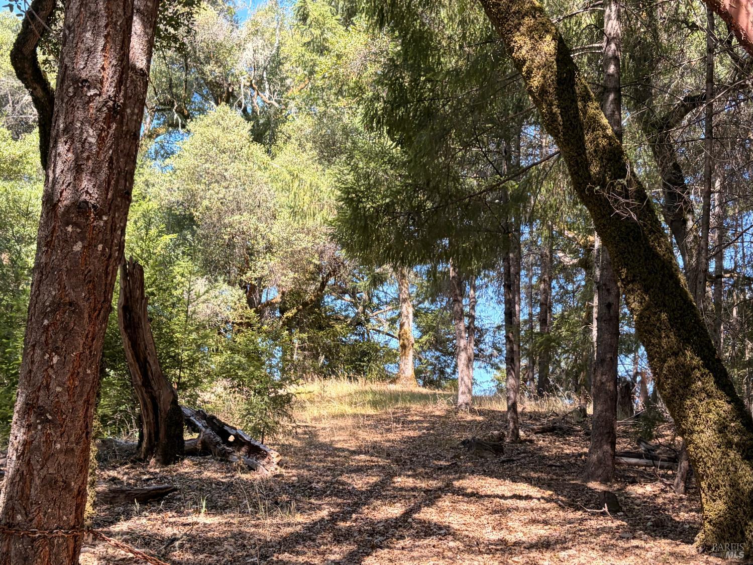 3701 Radical Ridge Road Redwood Valley CA 95470