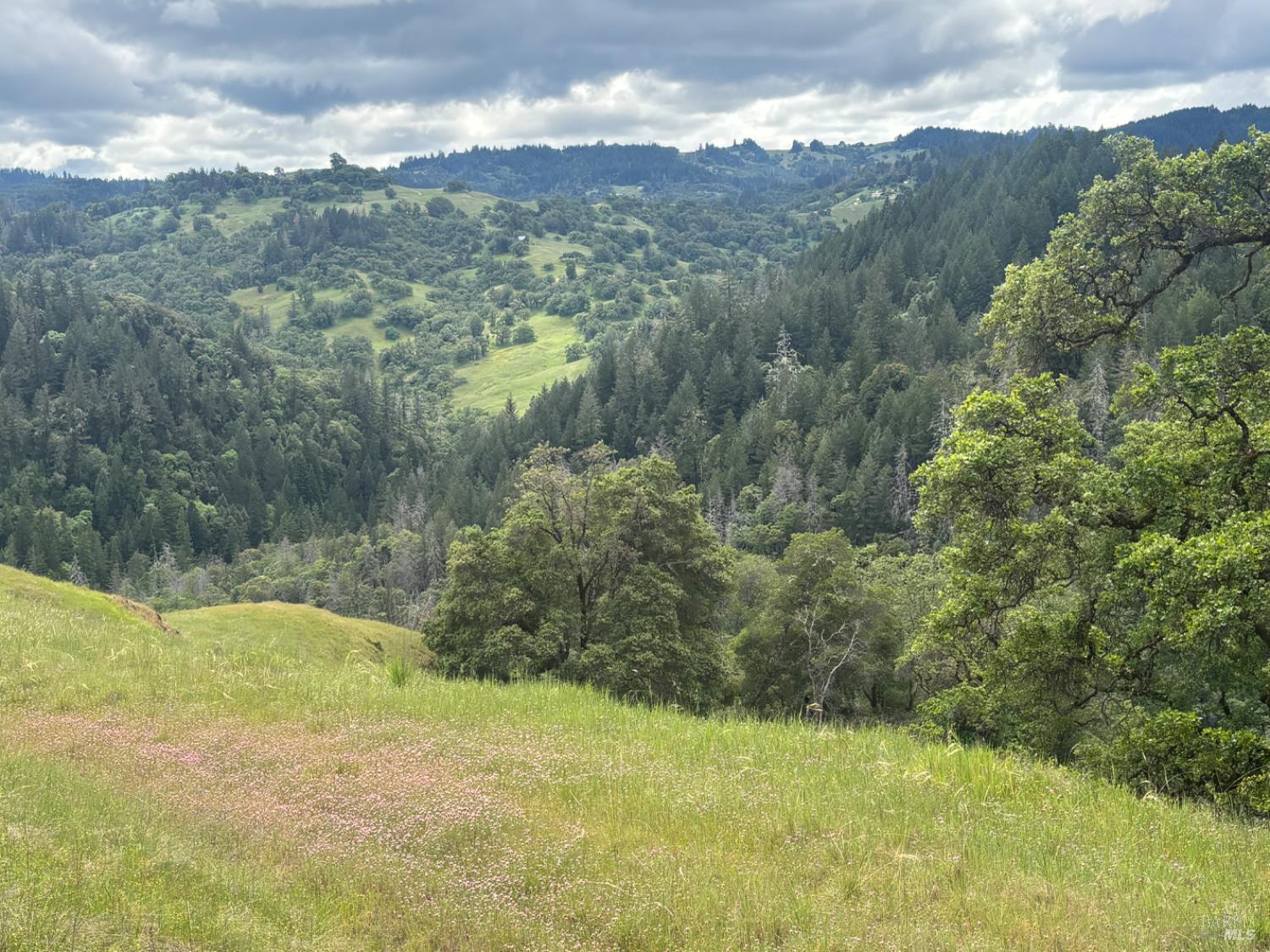 3701 Radical Ridge Road Redwood Valley CA 95470