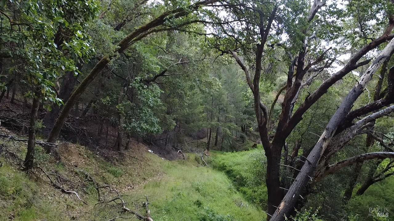3701 Radical Ridge Road Redwood Valley CA 95470