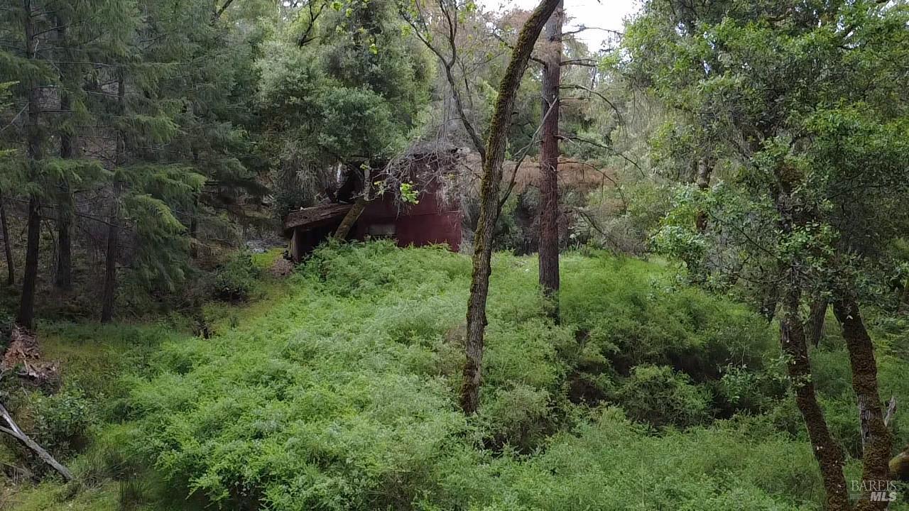 3701 Radical Ridge Road Redwood Valley CA 95470