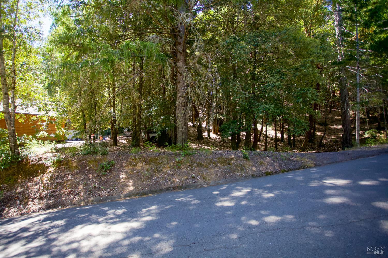 2371 Perch Drive Willits CA 95490