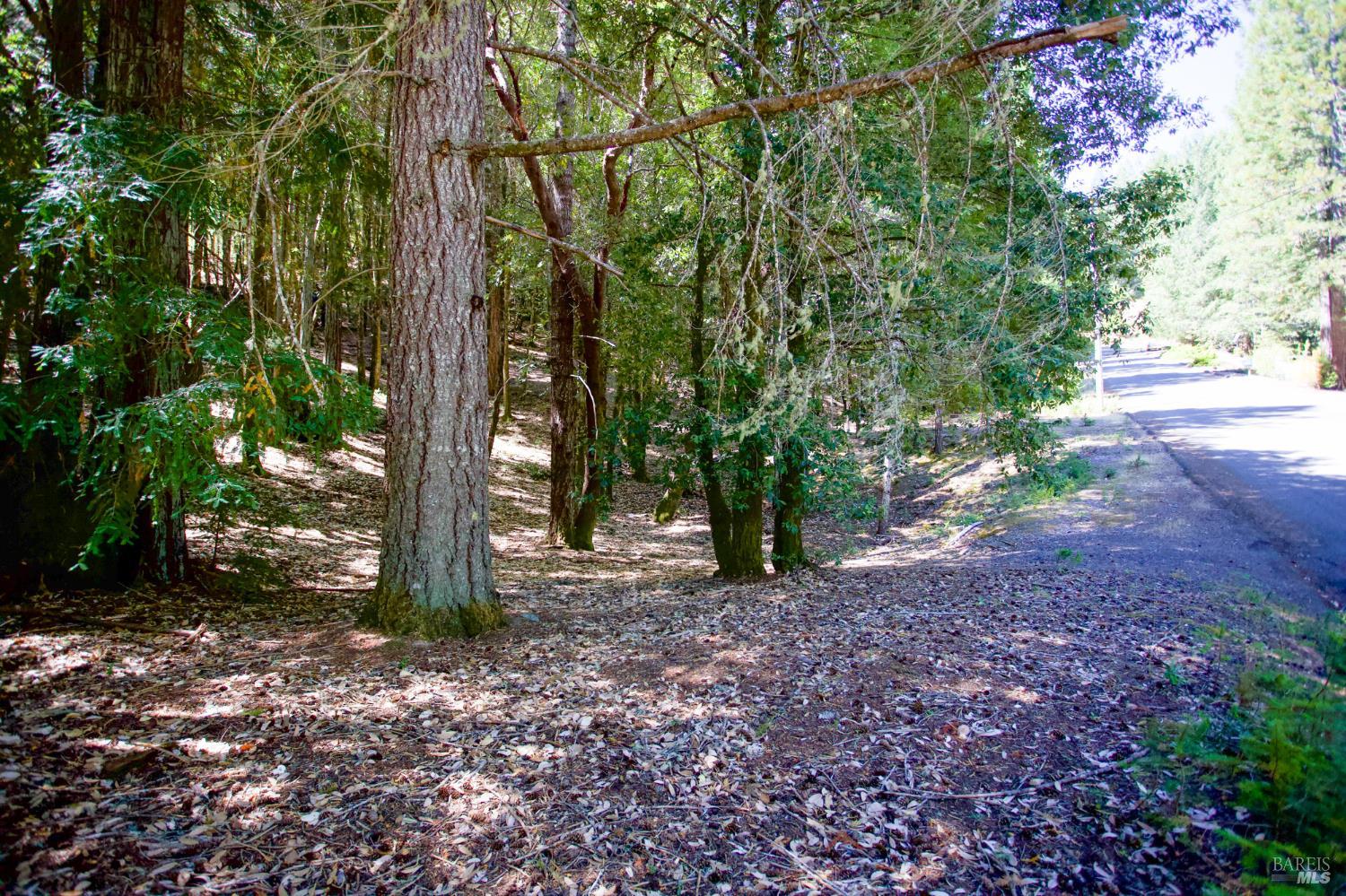 2371 Perch Drive Willits CA 95490