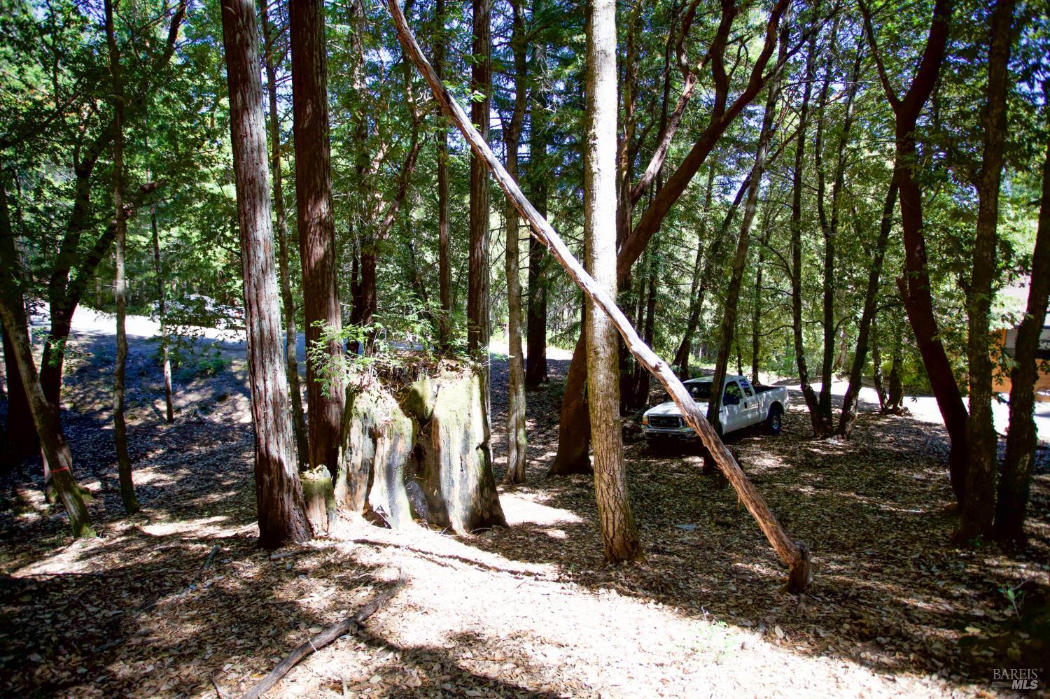 2371 Perch Drive Willits CA 95490